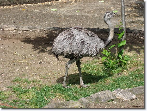 Diapositiva siguiente